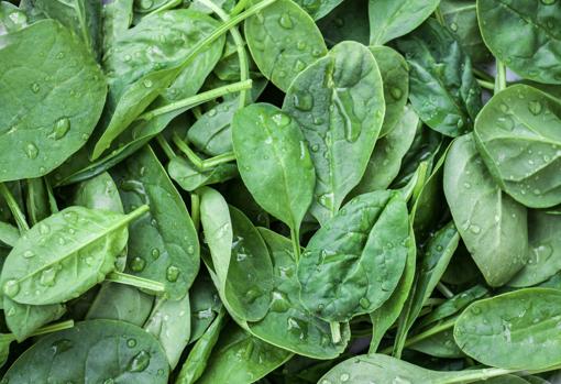 Algunos vegetales incluyen antinutrientes que se pueden eliminar con el cocinado.