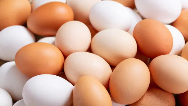 ¿Qué diferencia hay entre un huevo blanco y uno de cáscara oscura?