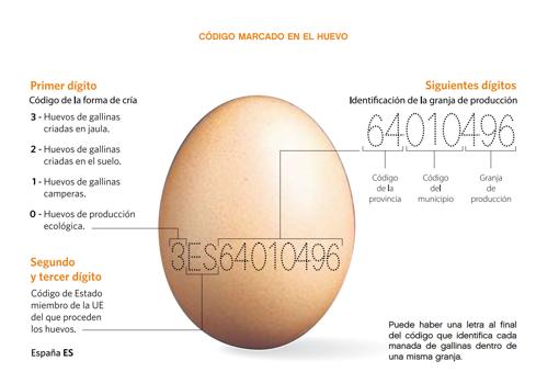 Significado del código del huevo.