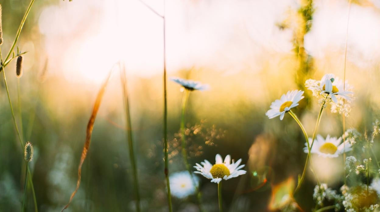 La primavera provoca cambios en el cuerpo.