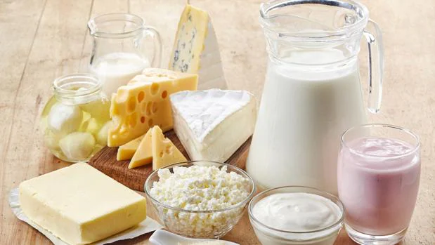 Lácteos saludables: qué leche, queso y yogur elegir para comer sano