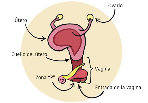 Ilustración explicativa del libro