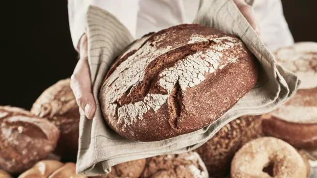 Nada de multicereales: por qué es mejor el pan integral