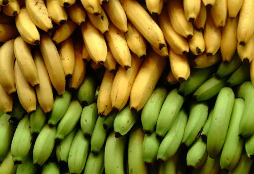 Los beneficios del plátano en verano: te mienten los que dicen que engorda
