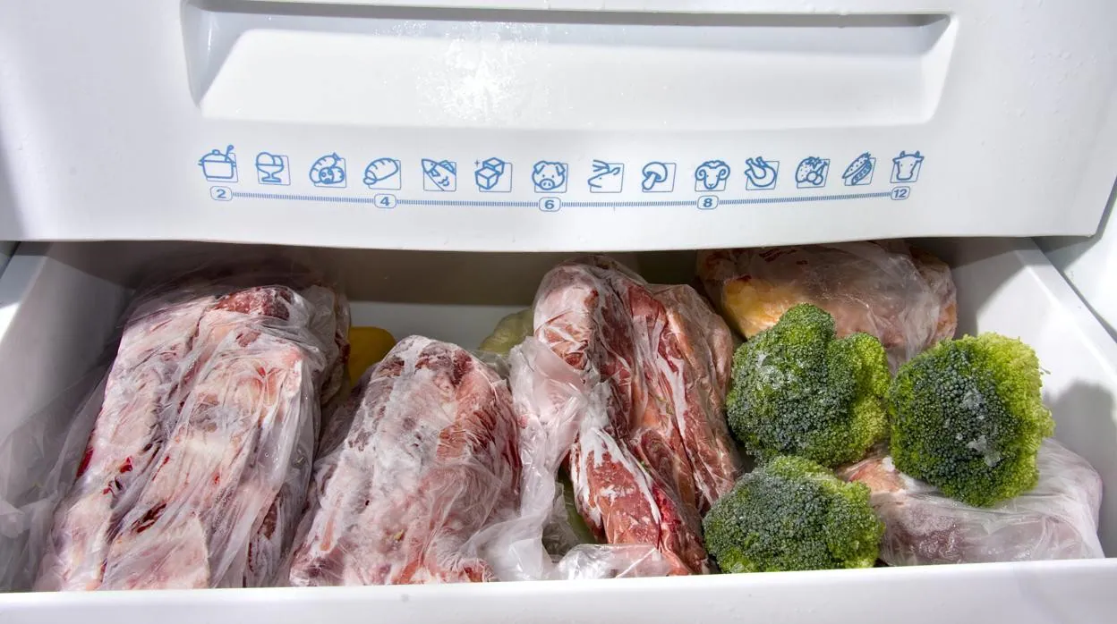 periódico silbar beneficio Cuánto tiempo puede estar la carne en el congelador