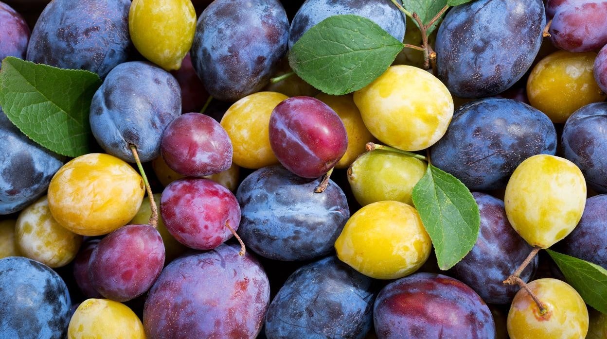 Las ciruelas contienen fructosa, que después de convierte en hidratos de carbono