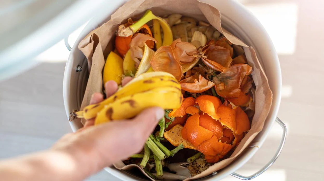 Recetas de aprovechamiento: cómo evitar el desperdicio de alimentos