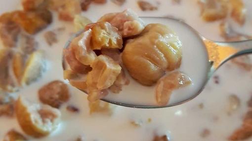 castañas con leche.