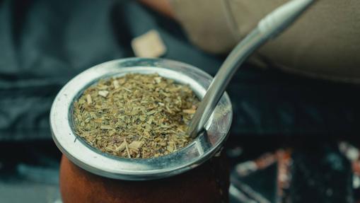 Yerba mate