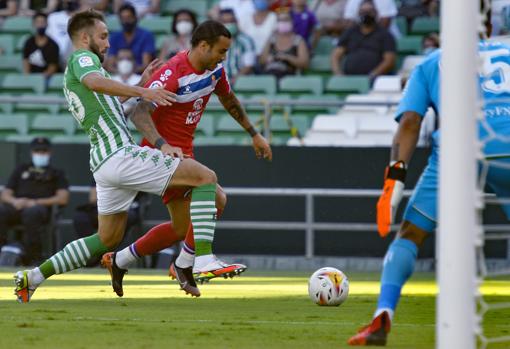 RDT esta temporada durante el Betis-Espanyol.