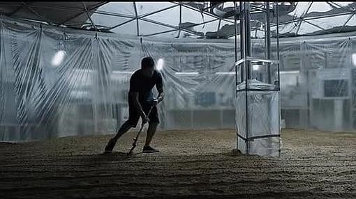 Cultivar patatas en teoría es posible, aunque muy caro