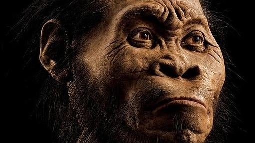 Reconstrucción de Homo naledi por el paleoartista John Gurche