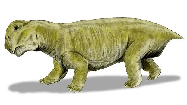 Los listrosaurios, del tamaño de hipopótomos, menguaron hasta el de un perro
