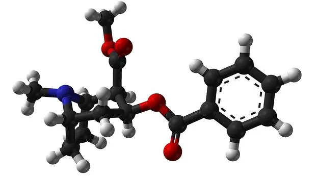 Estructura química de la molécula de la cocaína