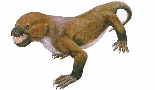 Los tritilodóntidos coexistieron con especies avanzadas de mamíferos durante millones de años