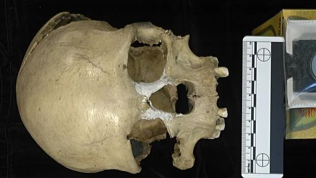 El cráneo de la mujer de Pestera Muierii (Rumania) de 35.000 años de antigüedad de quien se ha secuenciado el genoma mitocondrial completo