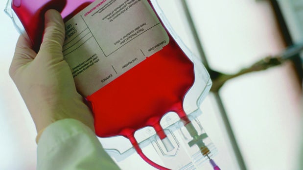 Gran parte de los avances de la medicina serían impensables sin las donaciones de sangre