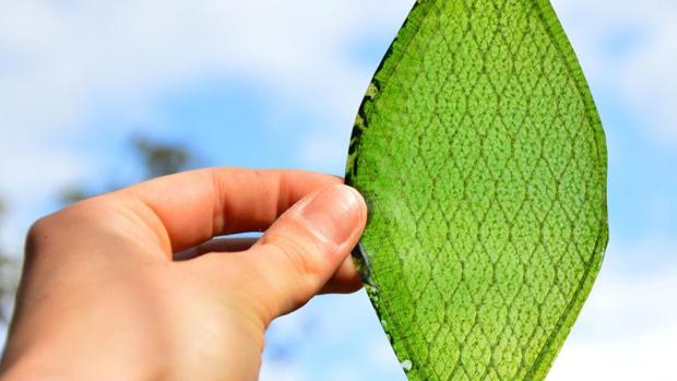 Esta hoja artificial funciona como una placa solar supersofisticada