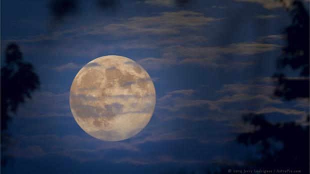 Ocho curiosidades sobre la superluna de noviembre, la mayor en 70 años