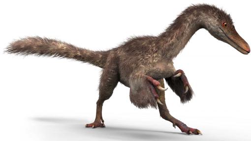 Reconstrucción de la cría de dinosaurio