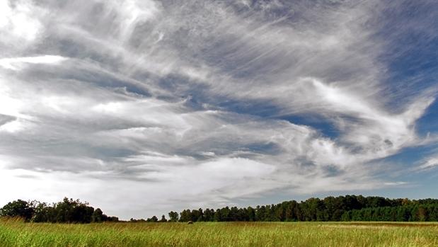 Cirros, nubes finas, ralas y rizadas