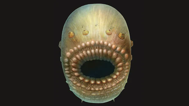 Recreación artística del Saccorhytus. La criatura real no medía más de un milímetro