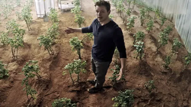 Matt Damon en la película «Marte» (The Martian), con su más que exitoso cultivo de patatas