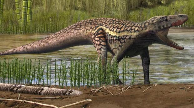 La nueva especie de reptil, antecesor de los dinosaurios y los cocodrilos