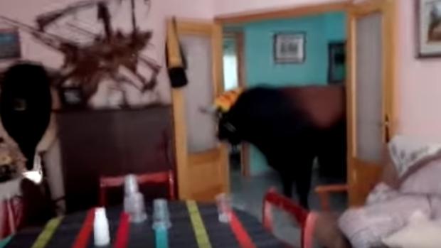 Vídeo: un toro entra en una casa en pleno encierro en un pueblo de Valencia