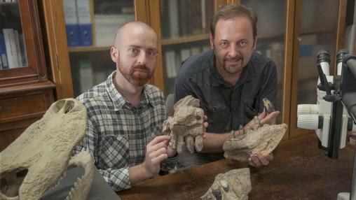Los paleontólogos Cristiano Dal Sasso (derecha) y Simone Maganuco (izquierda) exhiben algunos huesos del cráneo del Razanandrongobe sakalavae en el Museo de Historia Natural de Milán