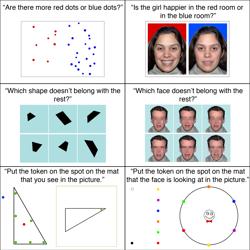 Juegos matemáticos y de habilidades sociales