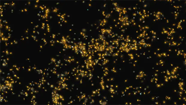 La distribución de las galaxias en el supercúmulo de Saraswati. Los tamaños de las galaxias se han aumentado para su representación