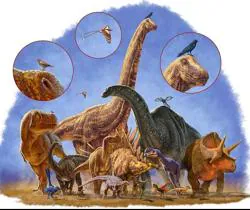 Los dinosaurios demasiado grandes se extinguieron, mientras que los pequeños -que se convirtieron en pájaros- sobrevivieron