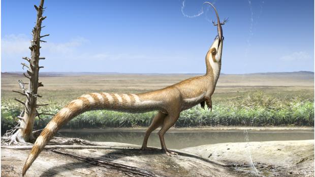 Sinosauropteryx, en el hábitat abierto en el que vivió hace 130 millones de años en el Cretácico Inferior