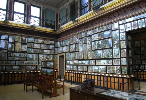 La galería de Marianne North en el Kew Garden de Londres