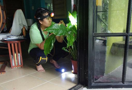 La investigadora Misha Leong toma muestras en una casa de Australia