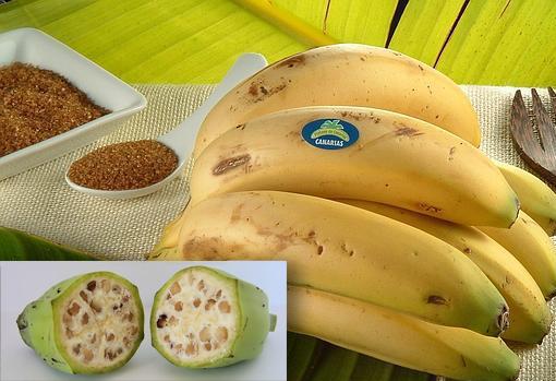 ¿Se comería usted esta fruta «natural»?