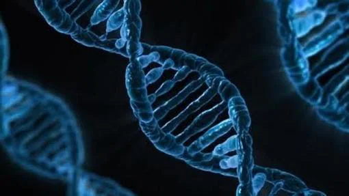 Científicos cambiaron cambiar individualmente letras del ADN