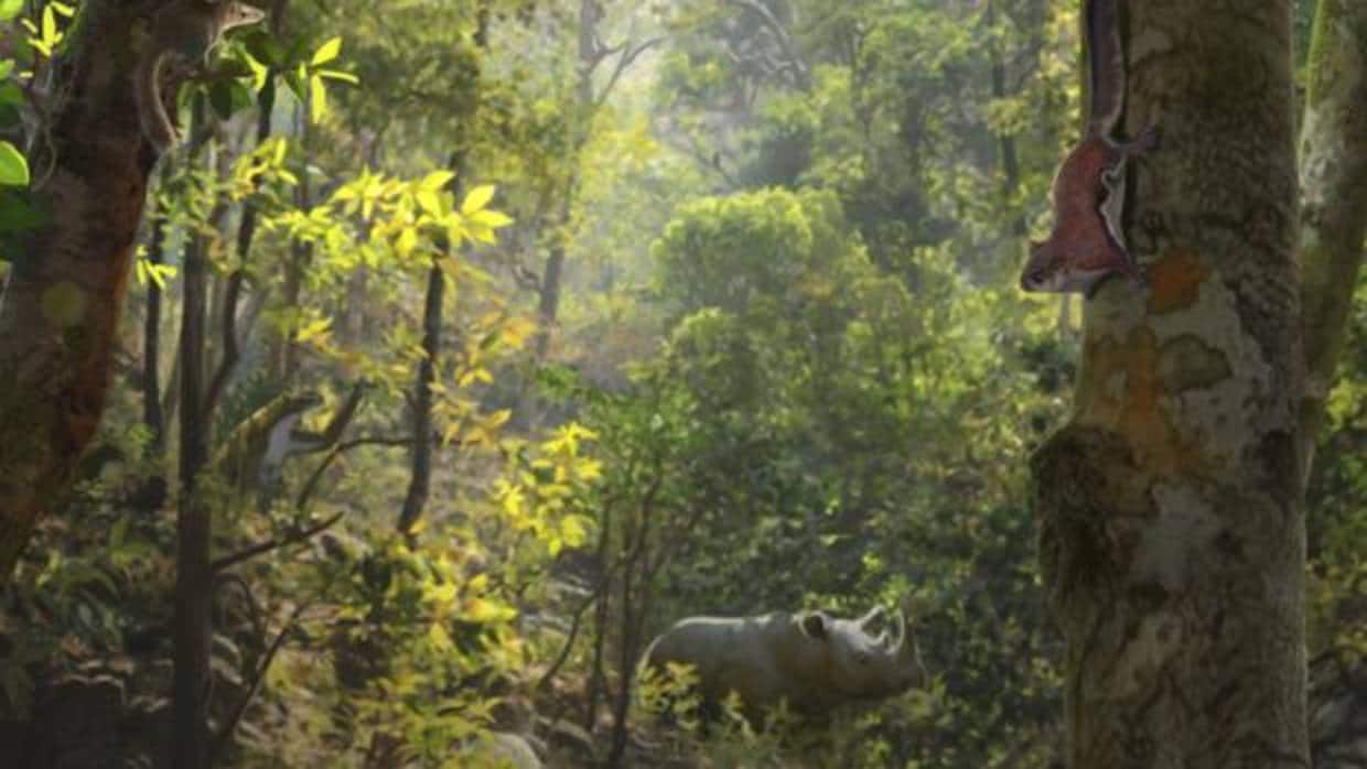 Recreación de un bosque de Cataluña o el Sur de Francia hace 10 millones de años, con un rinoceronte y una ardilla voladora