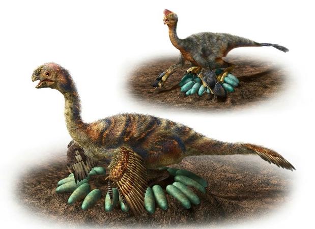 El motivo por el que los pájaros no tienen dientes de dinosaurio