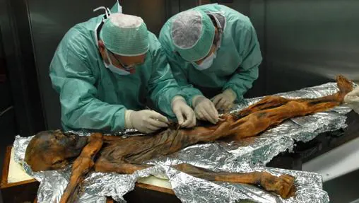 Investigadores estudian el contenido estomacal de la momia