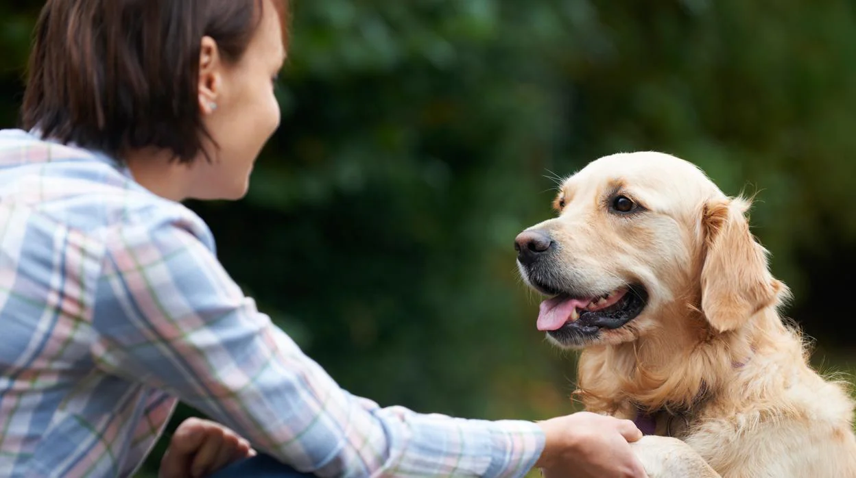 La investigación confirma que los perros son altamente sensibles al llanto de los humanos
