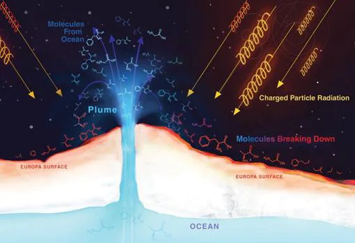 Los «géiseres» de la superficie de Europa liberan moléculas orgánicas del océano del interior pero estas son degradadas por la radiación de Júpiter