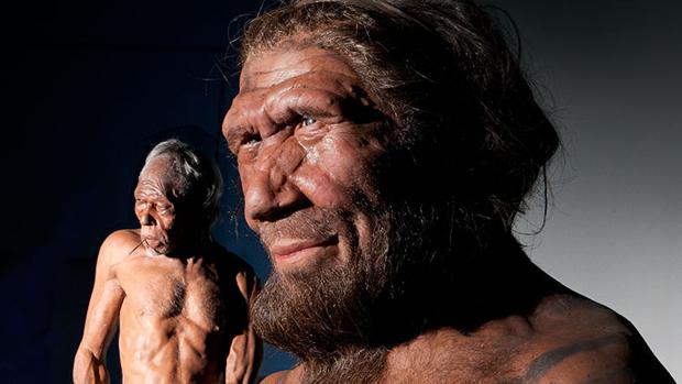 ¿Desaparecieron los neandertales por comer demasiada carne?