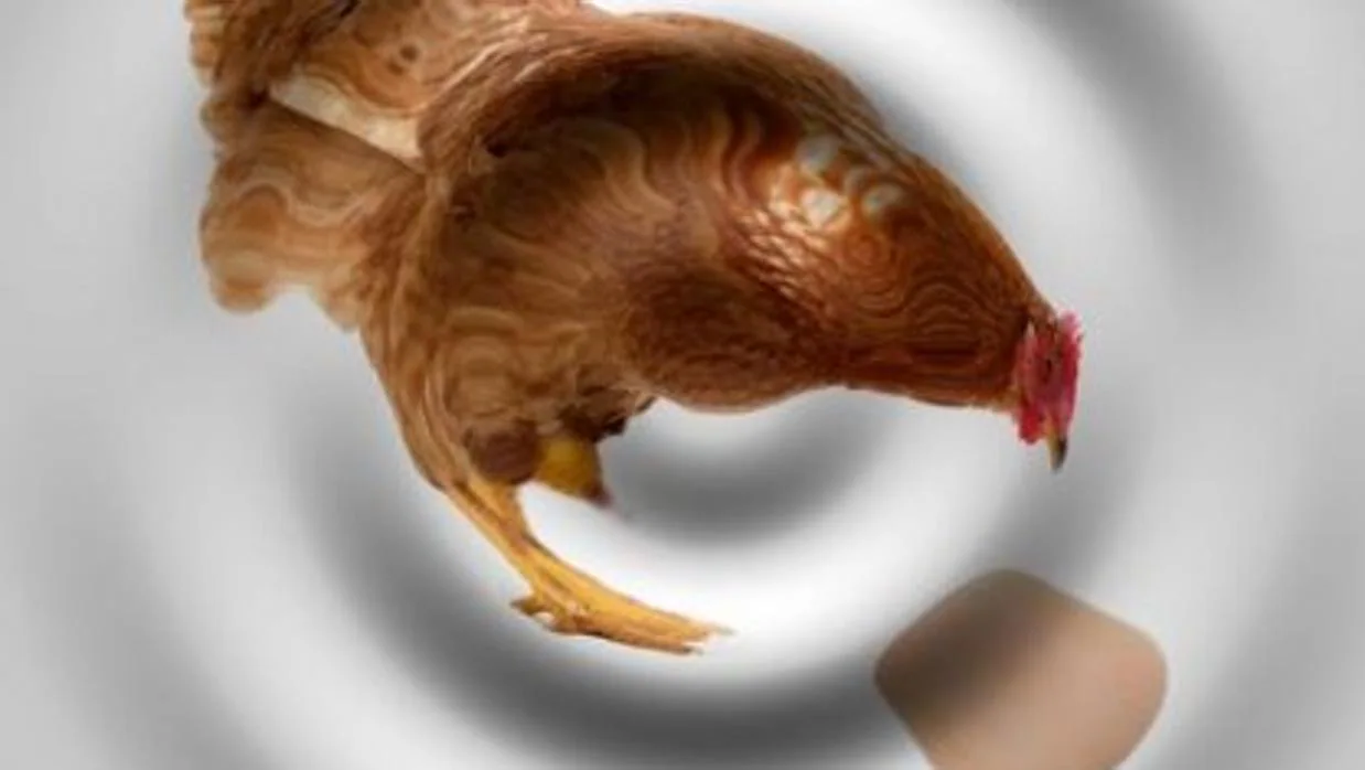 La física cuántica responde a si fue antes el huevo o la gallina
