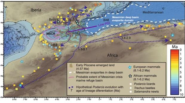 Un archipiélago en el Mar de Alborán unió África y Europa hace 6 millones de años