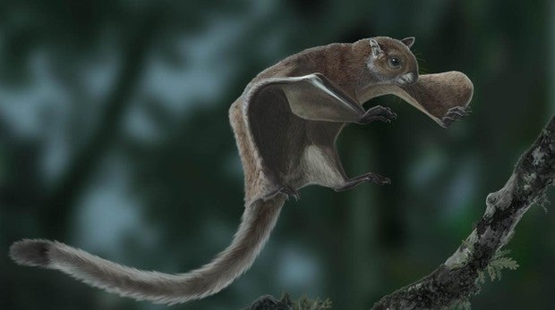 La primera ardilla que surcó el cielo, descubierta en Cataluña