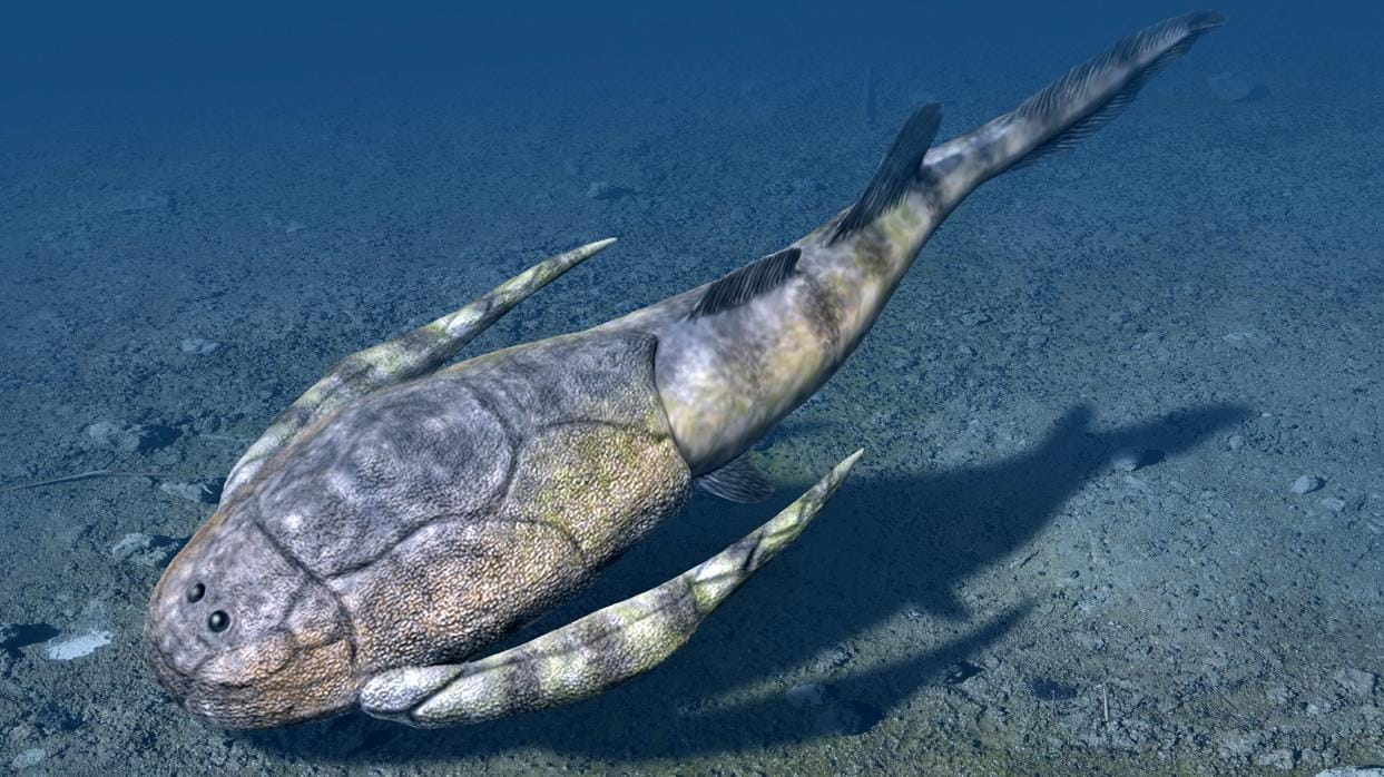 Bothriolepis, un placodermo blindado relacionado con algunos de los primeros vertebrados con mandíbula, vivió principalmente en la costa