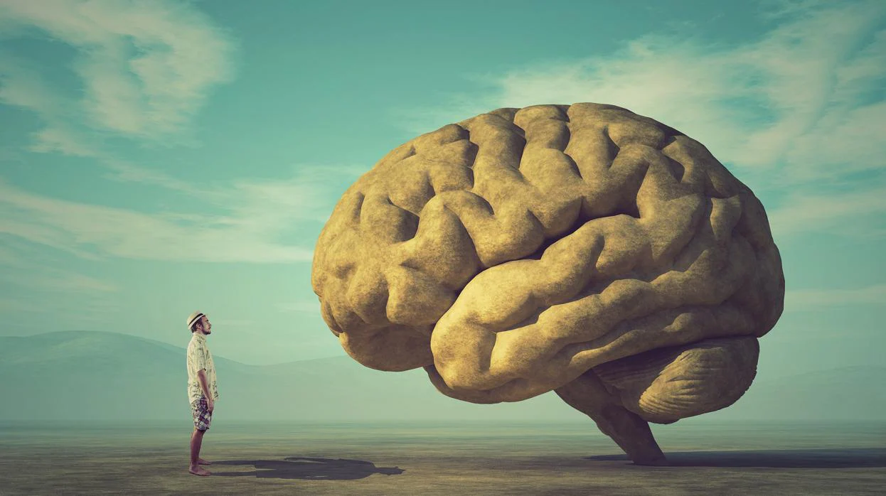 Nueve mitos sobre el cerebro que quizás crees y son falsos