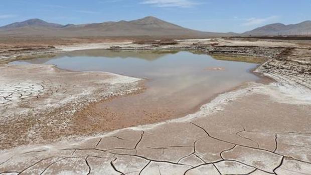 Las primeras lluvias en 500 años devastan la vida en el desierto de Atacama